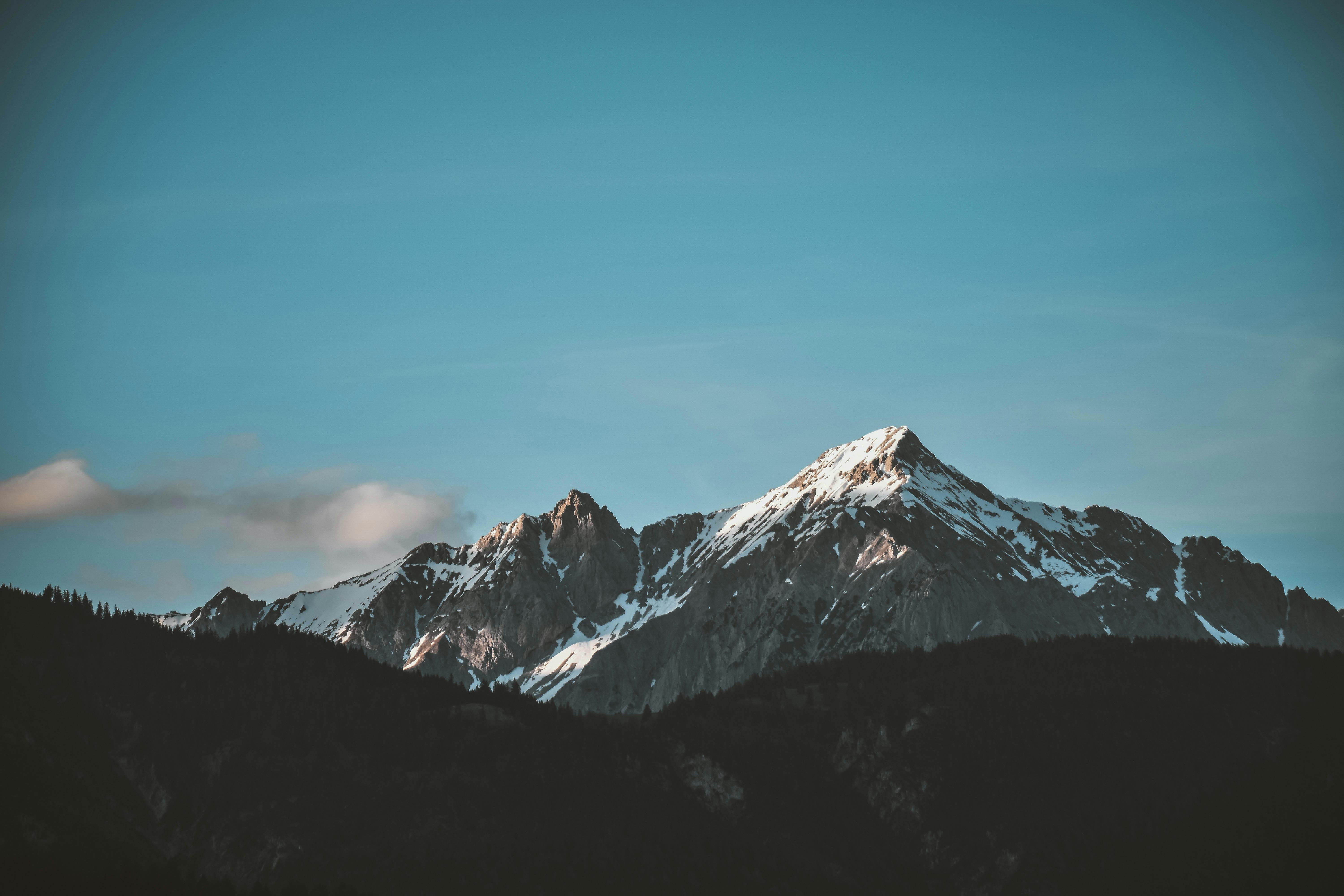 Description of the image